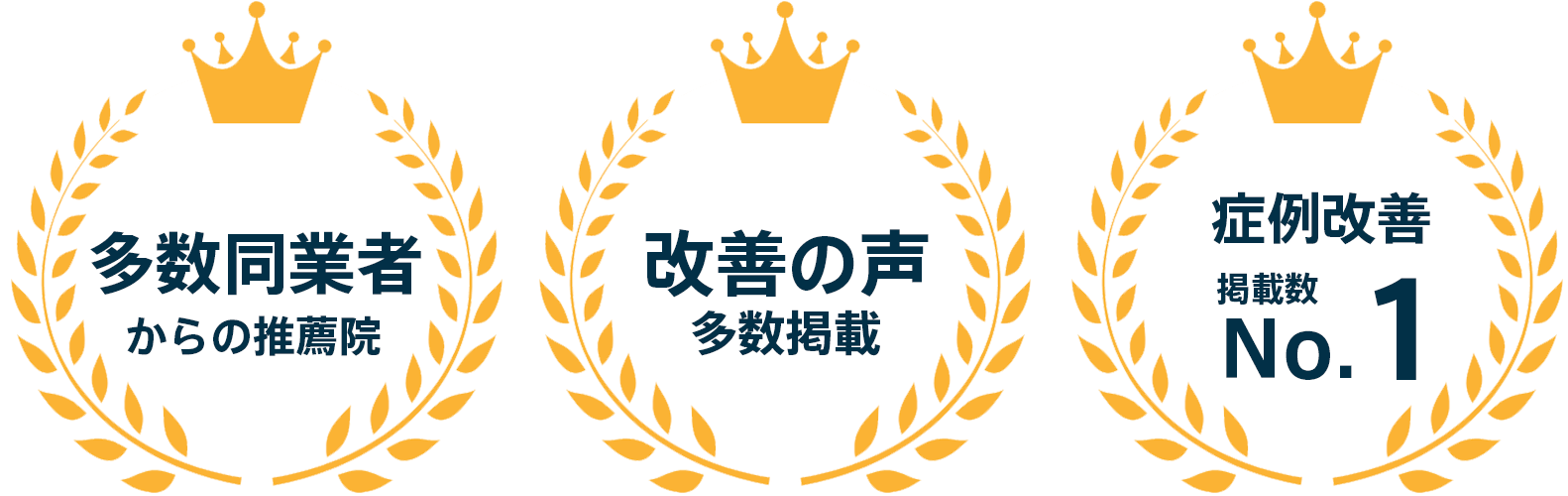 志整体院の実績